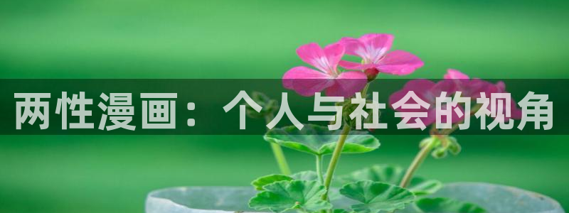 香蕉漫画入：两性漫画：个人与社会的视角