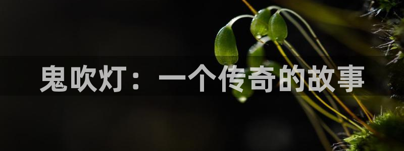香蕉漫画书下拉式最新版本：鬼吹灯：一个传奇的故事