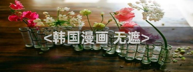 91香蕉漫画免费破解版：<韩国漫画 无遮>