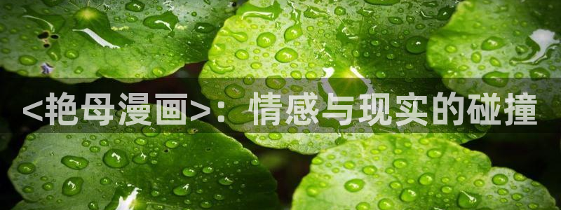 香蕉漫画大全：<艳母漫画>：情感与现实的碰撞