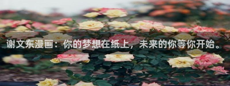 香蕉漫画免费读漫画网下拉式免费：谢文东漫画：你的梦想在纸上，未来的你等你开始。