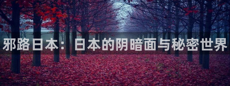 香蕉漫画免费读漫画的：邪路日本：日本的阴暗面与秘密世界