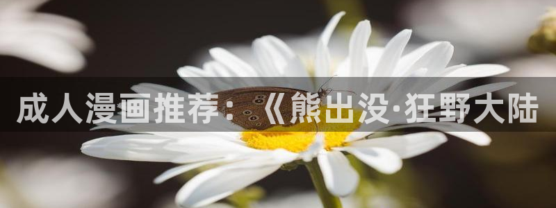 都是香蕉牛奶的错漫画