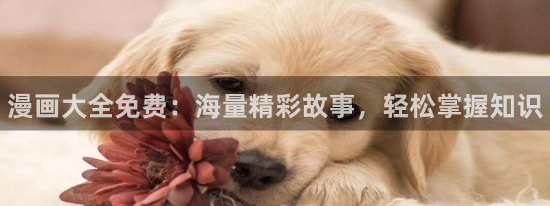 香蕉漫画在线网站