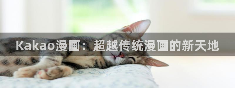香蕉漫画免费在线阅读