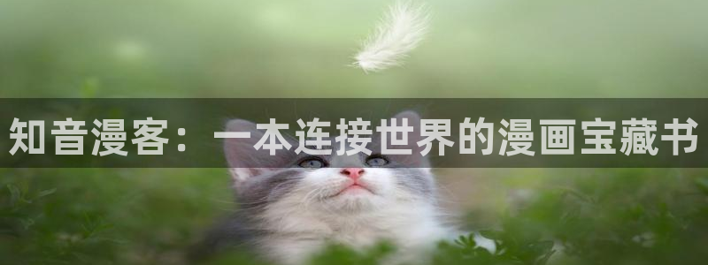 香蕉漫画免费读漫画的：知音漫客：一本连接世界的漫画宝藏书
