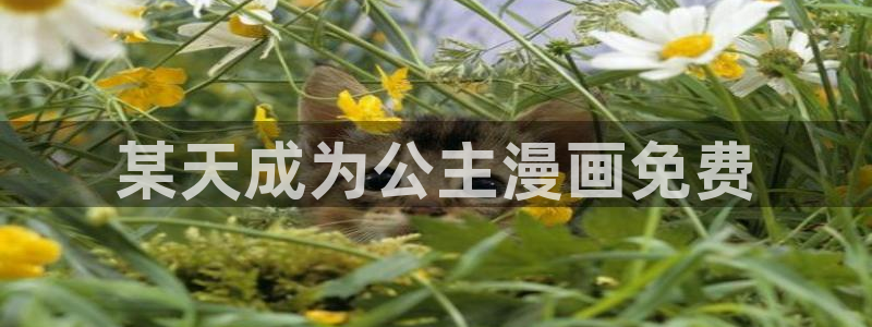 香蕉漫画vip账号：某天成为公主漫画免费